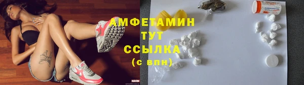 винт Алексин