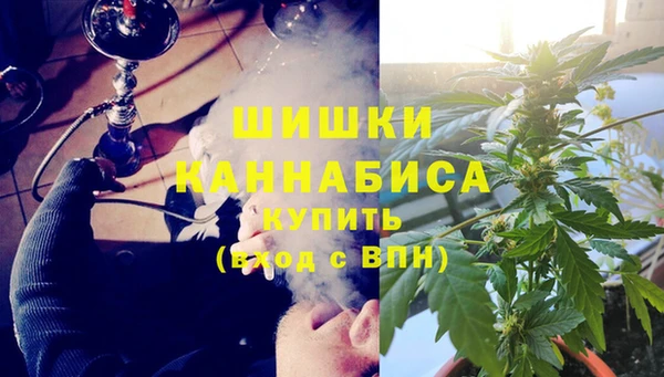 спайс Алзамай