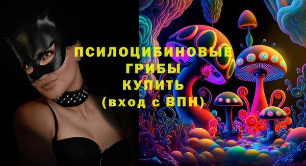 спайс Алзамай